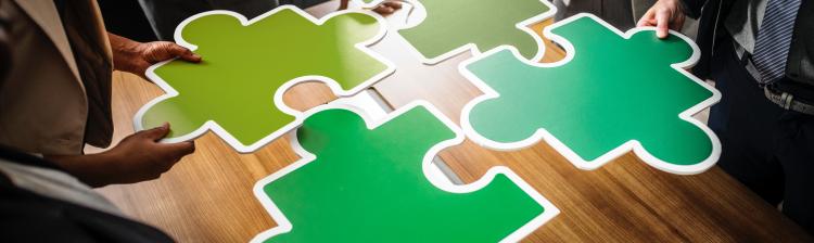 Green puzzle pieces